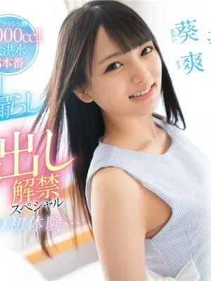 日本AV台北外送茶:葵爽