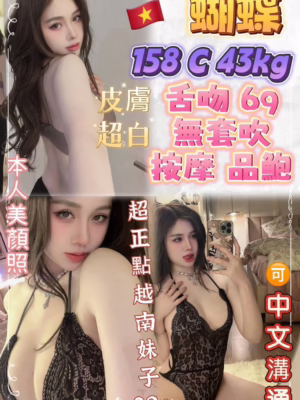 新北定點茶-蝴蝶