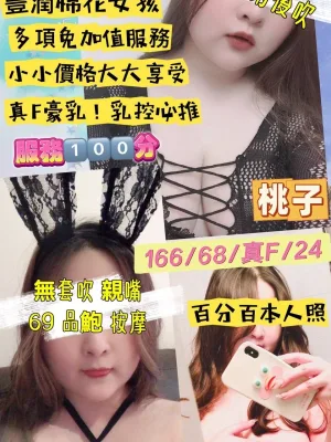 桃園定點茶-桃子