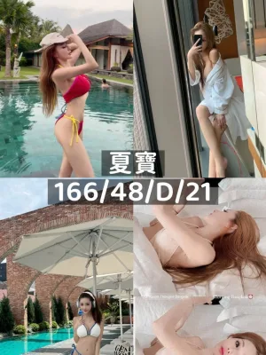 桃園外送茶-夏寶