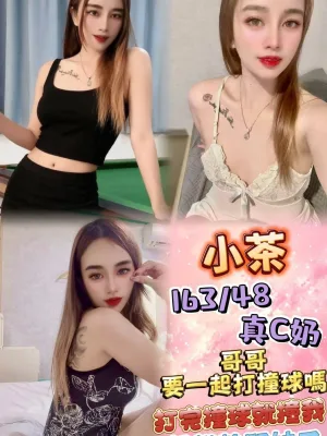 新北定點茶-小茶