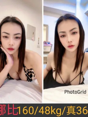 南投定點茶-娜比