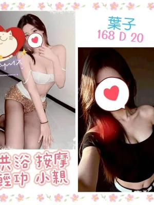 台北定點茶-葉子