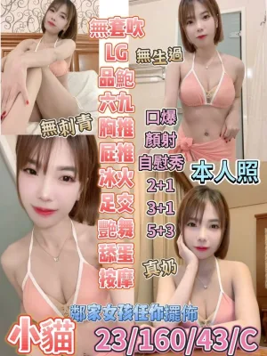 台東定點茶-小貓