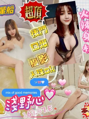 屏東定點茶-淺野心