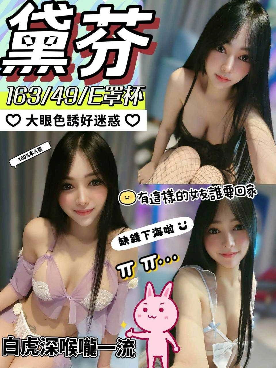 南投定點茶-黛芬