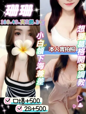 新北定點茶-珊珊