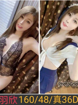 南投定點茶-羽欣