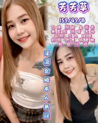 新竹定點茶-芳芳草