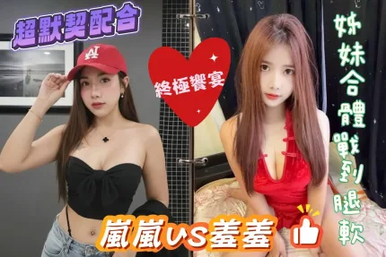 台中定點茶-嵐嵐