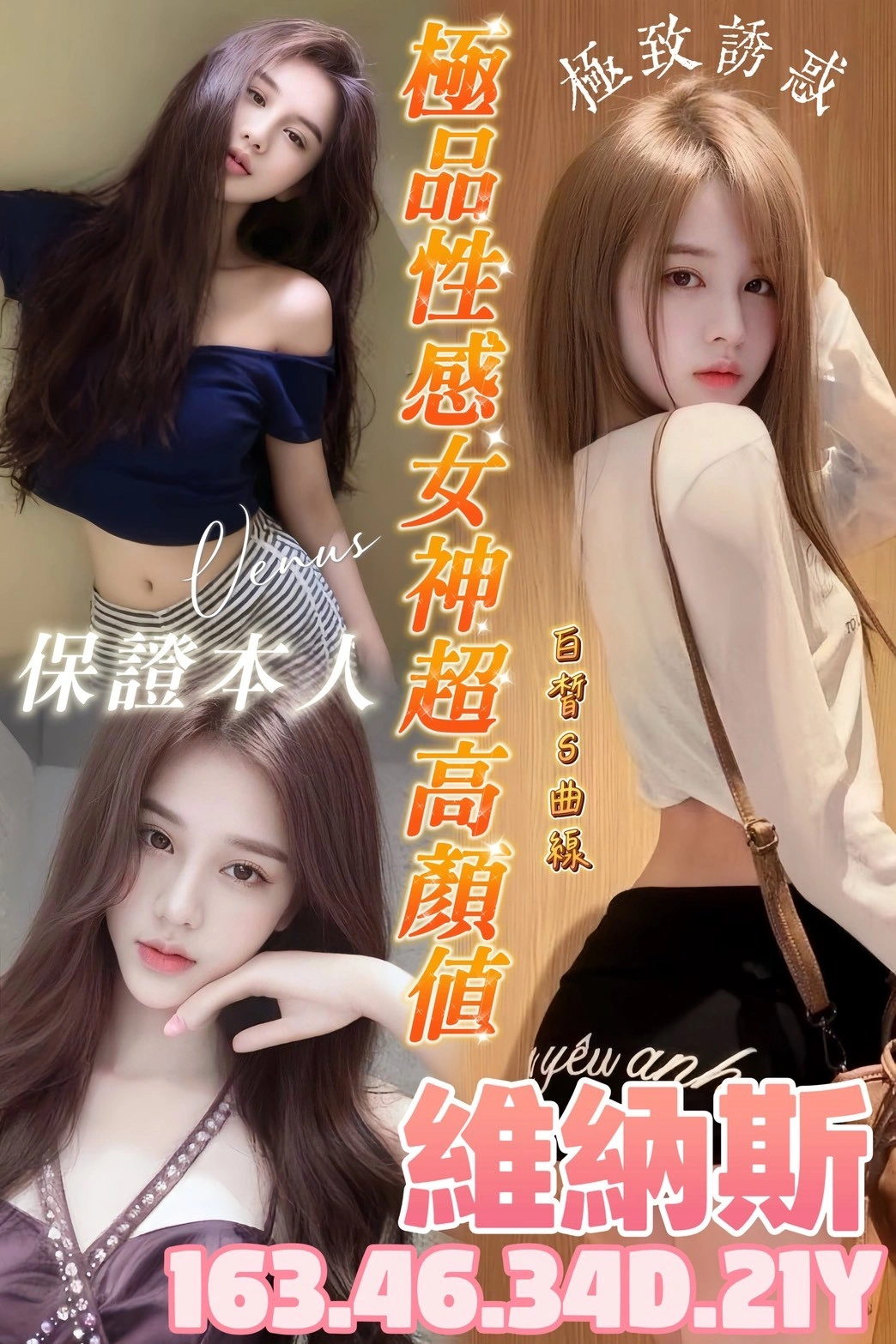 台南定點茶-維納斯