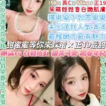 台北定點茶-甜寶貝