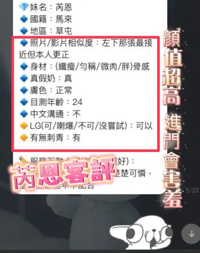 南投定點茶-芮恩