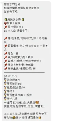 桃園定點茶-麗塔