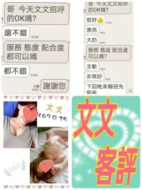 台北定點茶-文文