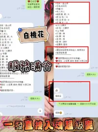 新竹定點茶-白桃花