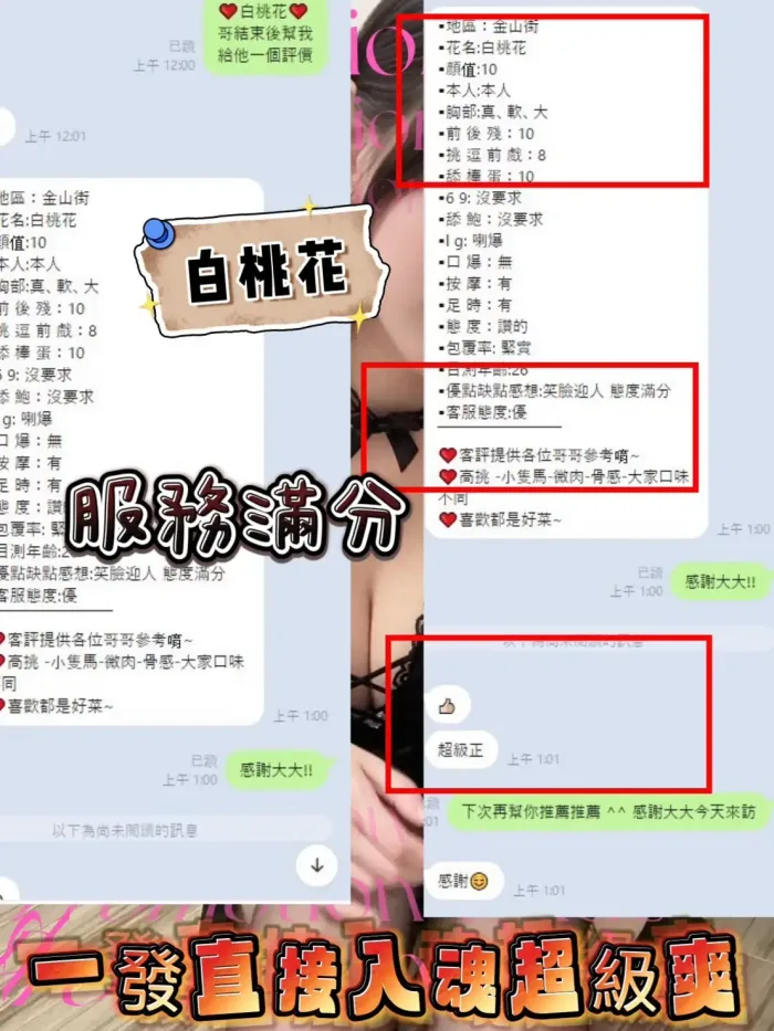 新竹定點茶-白桃花　