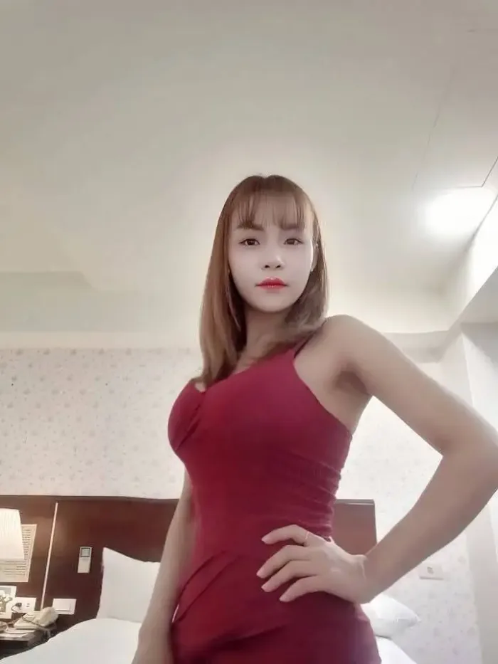 屏東定點茶,外送茶-貓貓