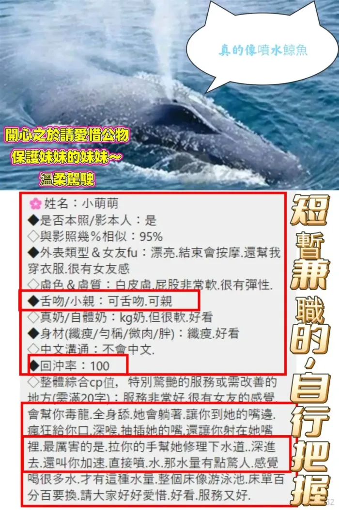 高雄定點茶-小萌萌