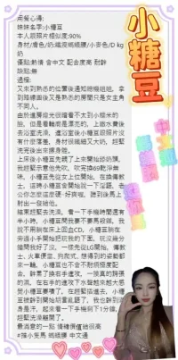 新北定點茶-小糖豆