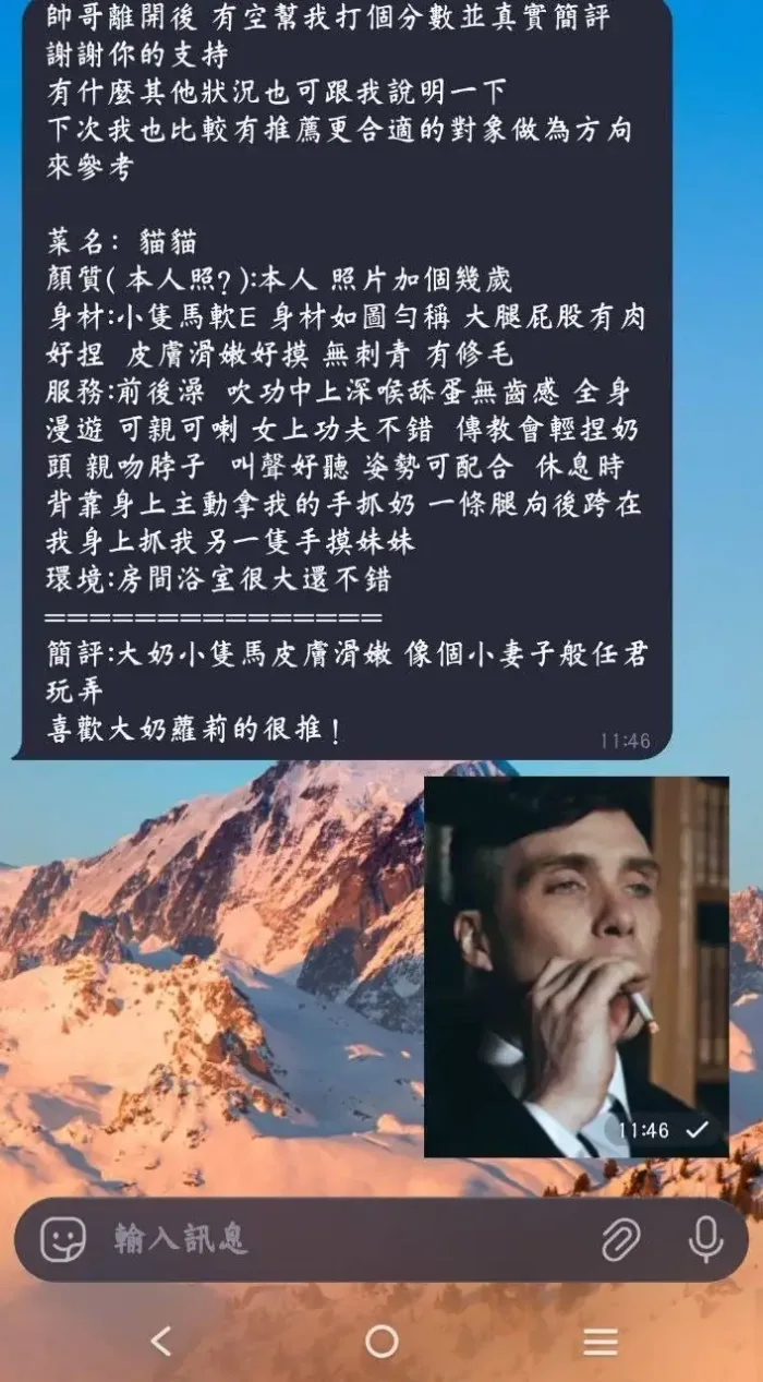 高雄定點茶-貓貓