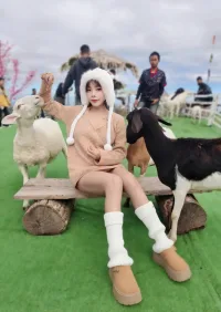 台北定點茶-夢夢兒