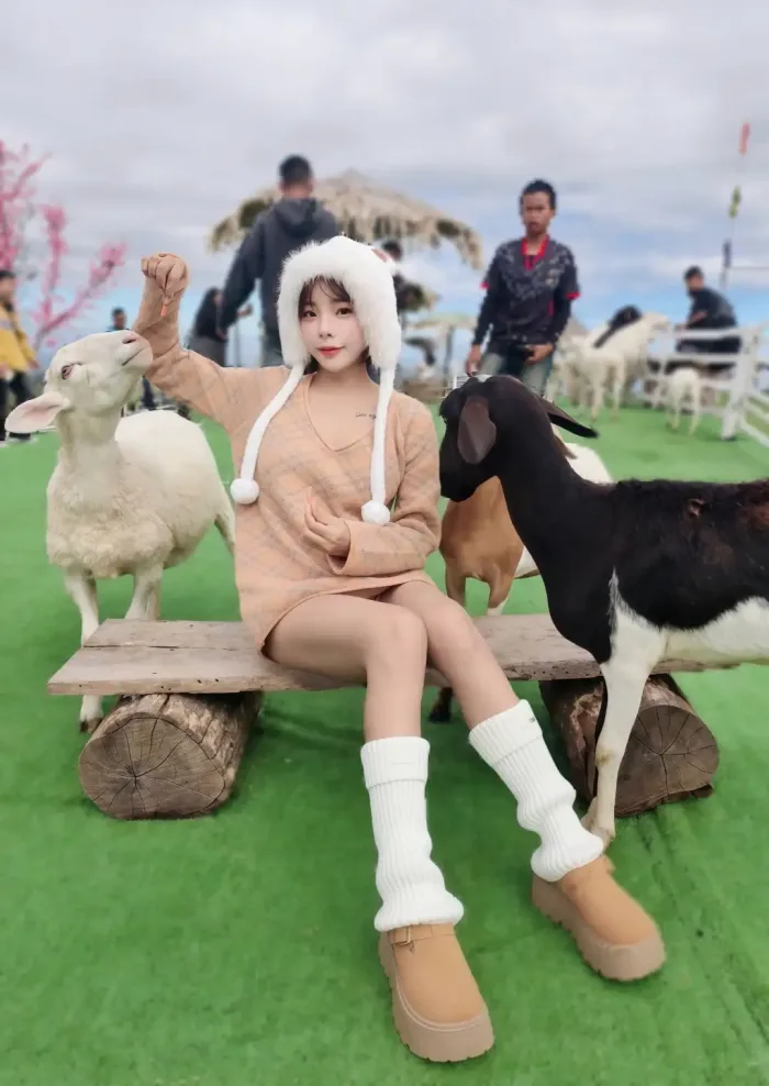 台北定點茶-夢夢兒