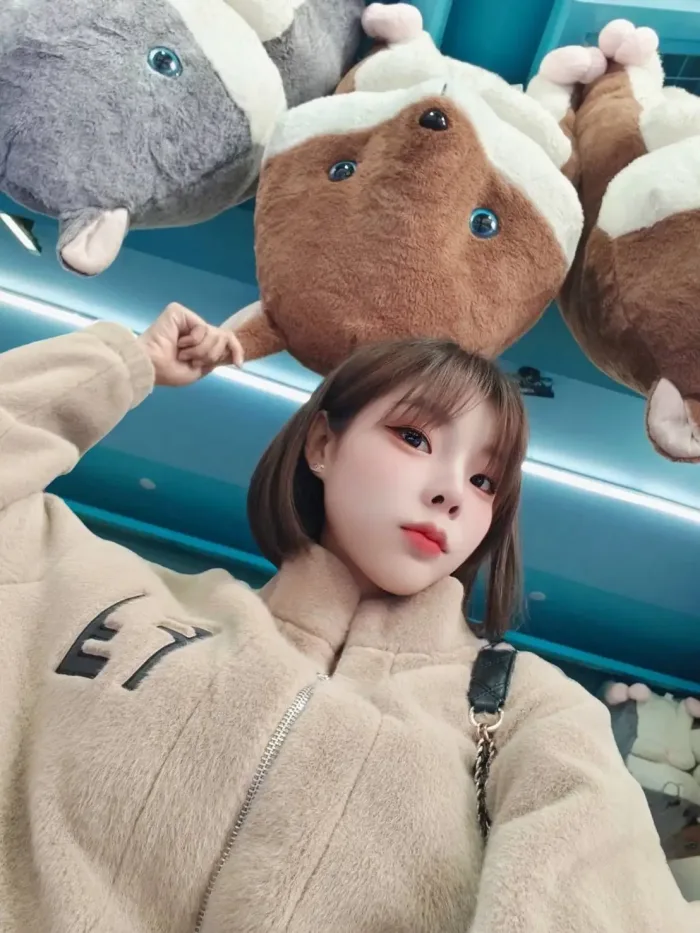 台北定點茶-夢夢兒