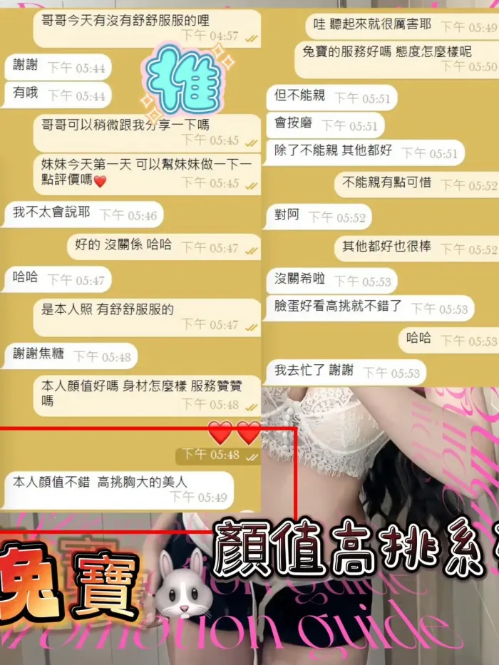 台中定點茶-兔寶　