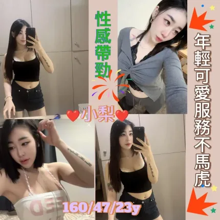 新北定點茶-小梨