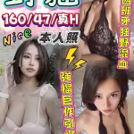 台中定點茶-野貓