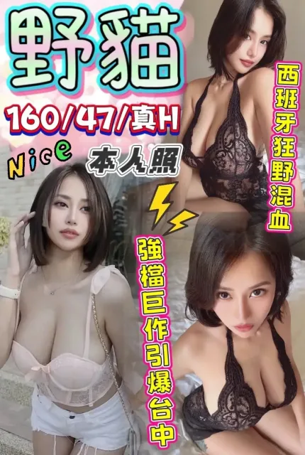 台中定點茶-野貓