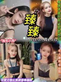 台北定點茶-臻臻