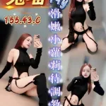 台中定點茶-兔喵