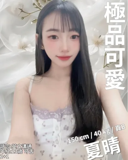 新竹定點茶-夏晴