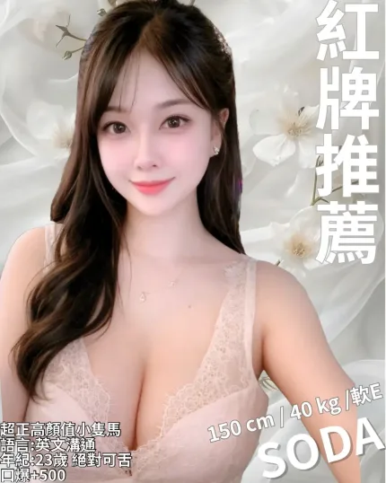 新竹定點茶-SODA