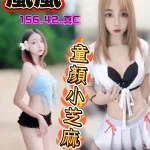 台中定點茶-嵐嵐