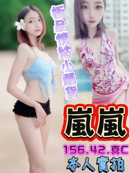 台中定點茶-嵐嵐