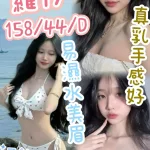 台中定點茶-羅伊