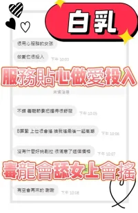 台中定點茶-白乳