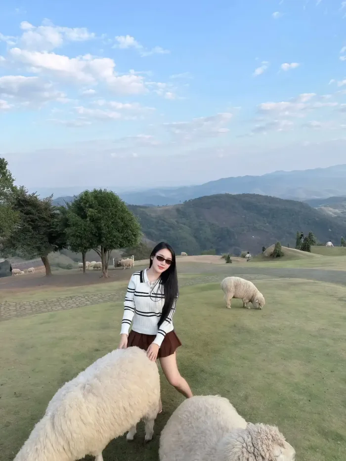 台北定點茶-蜜媛媛