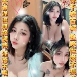 雲林定點茶-野貓