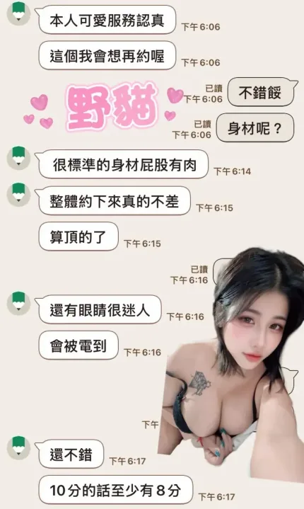 雲林定點茶-野貓