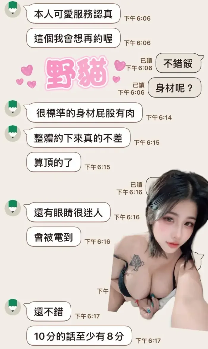 雲林定點茶-野貓