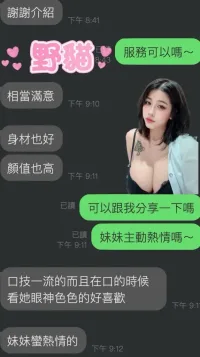 雲林定點茶-野貓