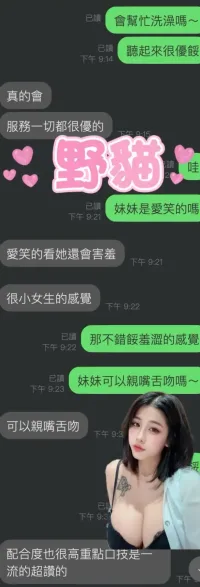 雲林定點茶-野貓