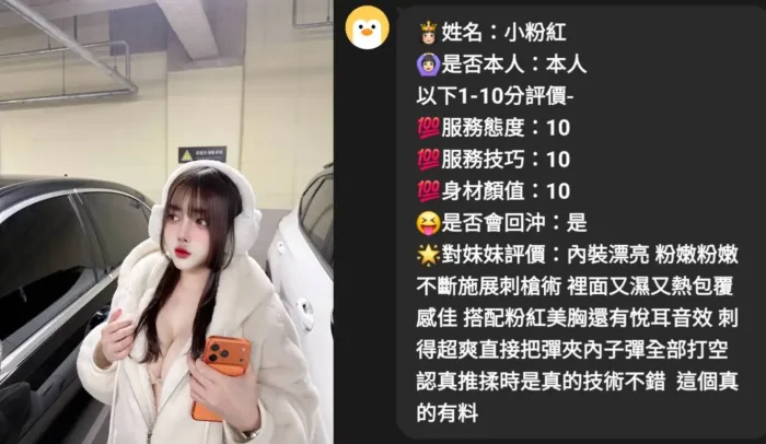 雲林定點茶-小粉紅