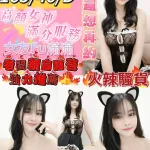 台東定點茶-豬豬