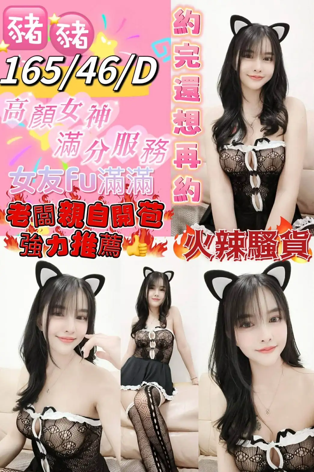 台東定點茶-豬豬 台東定點茶-豬豬