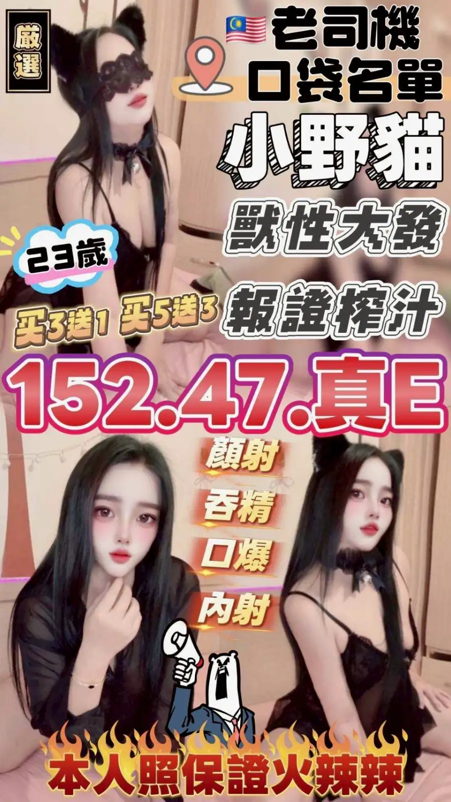 苗栗定點茶-小野貓 苗栗定點茶-小野貓